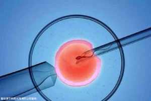 同仁堂国医馆